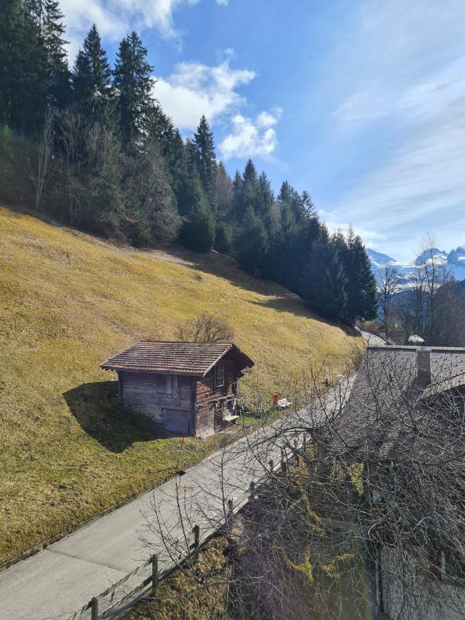 Appartamento Traditional Chalet In Wengen - Top Floor Esterno foto