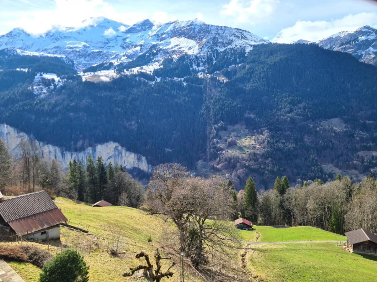 Appartamento Traditional Chalet In Wengen - Top Floor Esterno foto