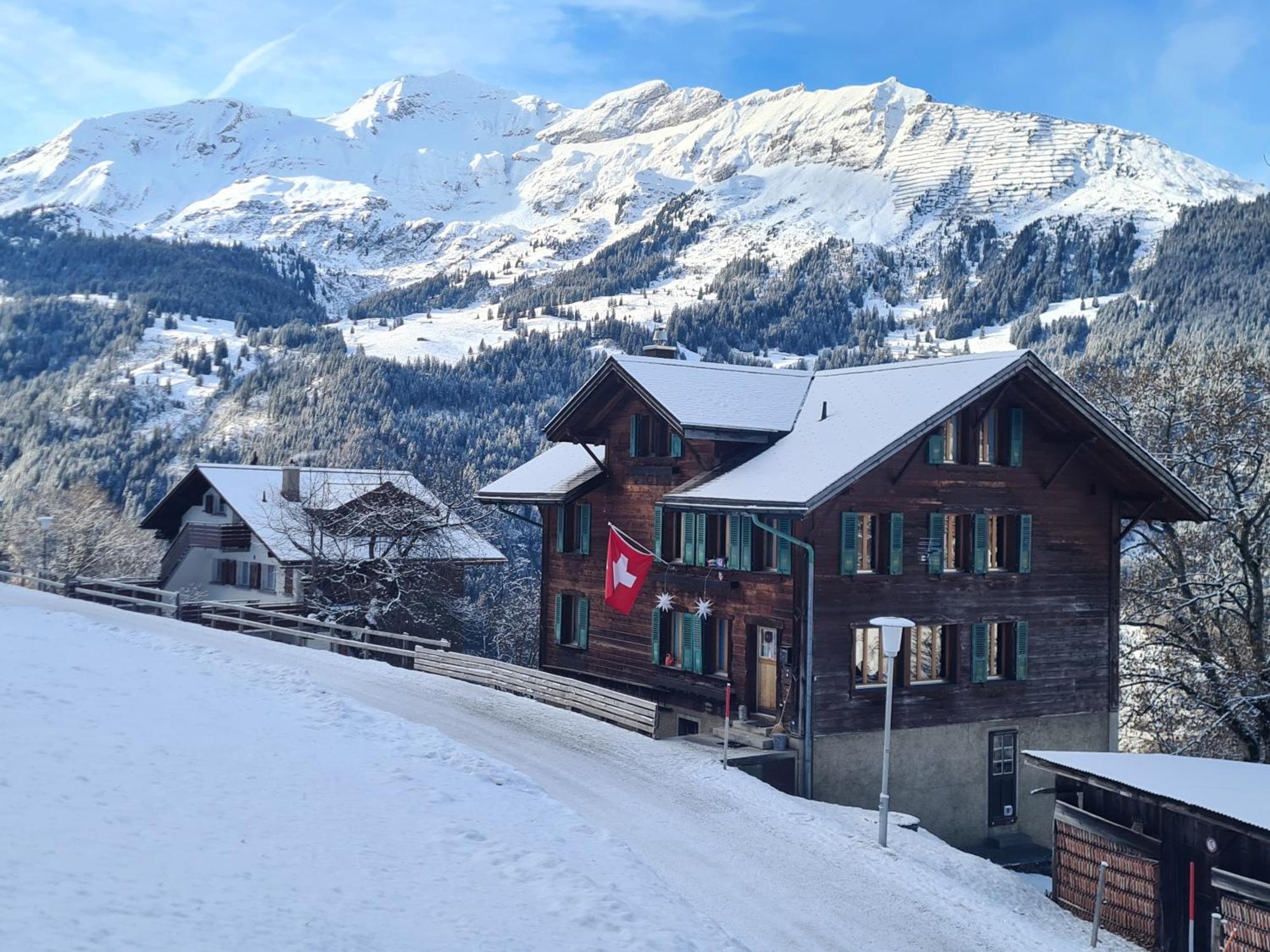 Appartamento Traditional Chalet In Wengen - Top Floor Esterno foto